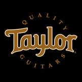 Andy Uses & Endorses Taylor Guitars